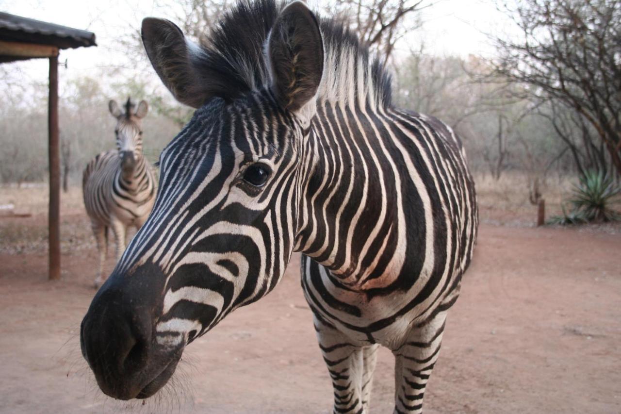 Kiburi Lodge @ Kruger, A Secluded Bushveld Getaway Marloth Park Exterior photo